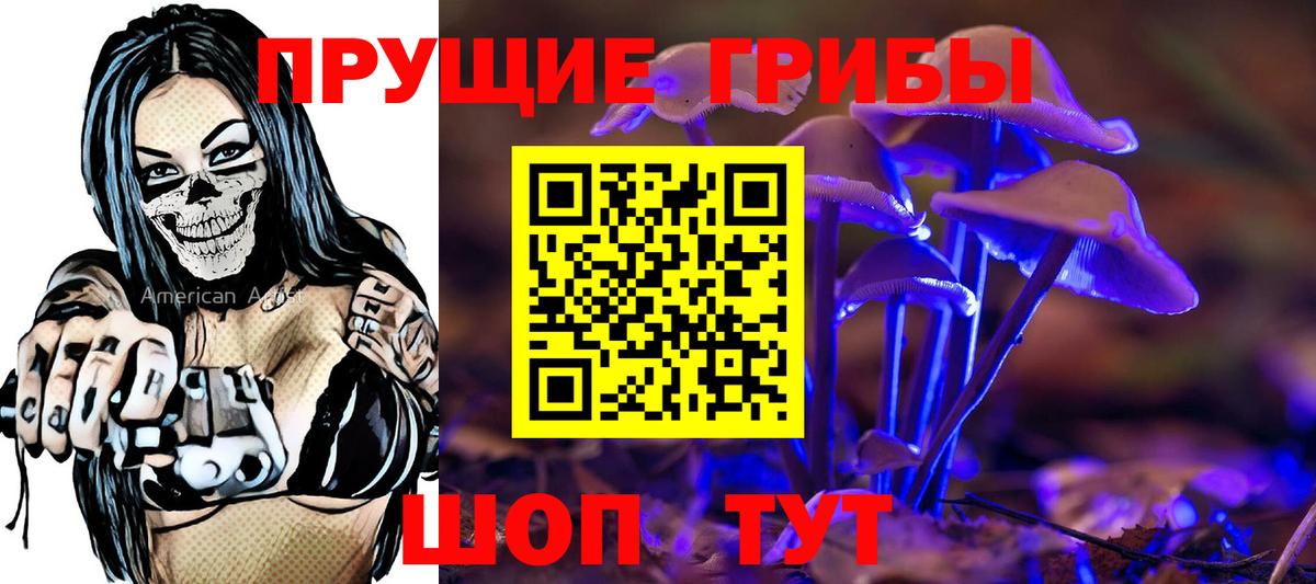 Галлюциногенные грибы Psilocybine cubensis  Псилоцибиновые грибы мицелий  Кашира  Вход с VPN 