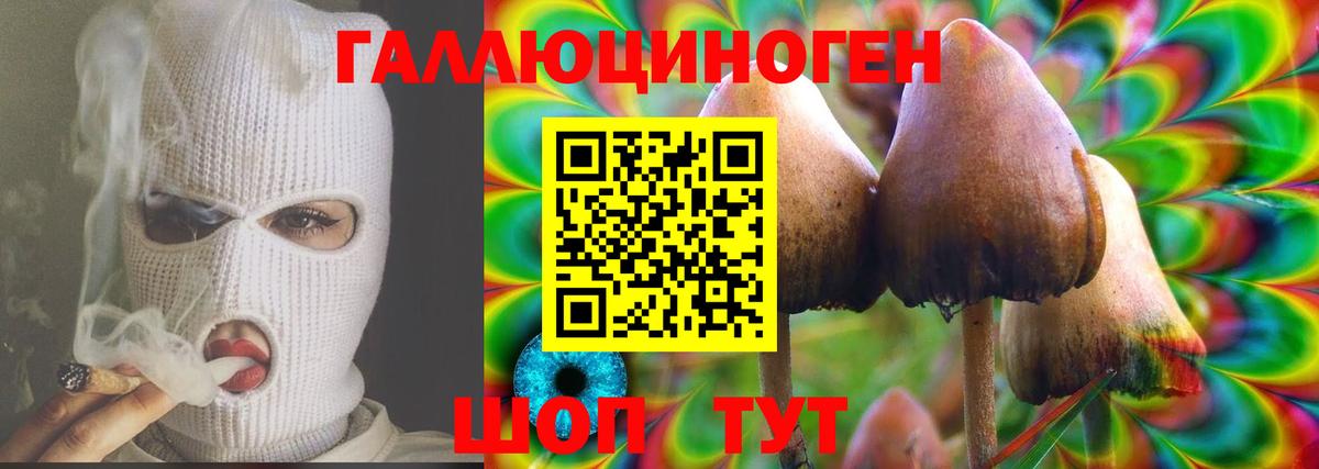Галлюциногенные грибы мицелий Кашира